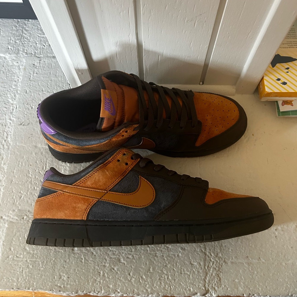 Nike dunk CIDER size 12